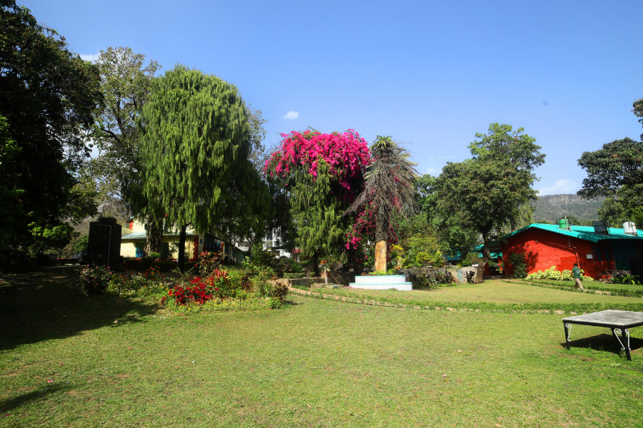 Garden area